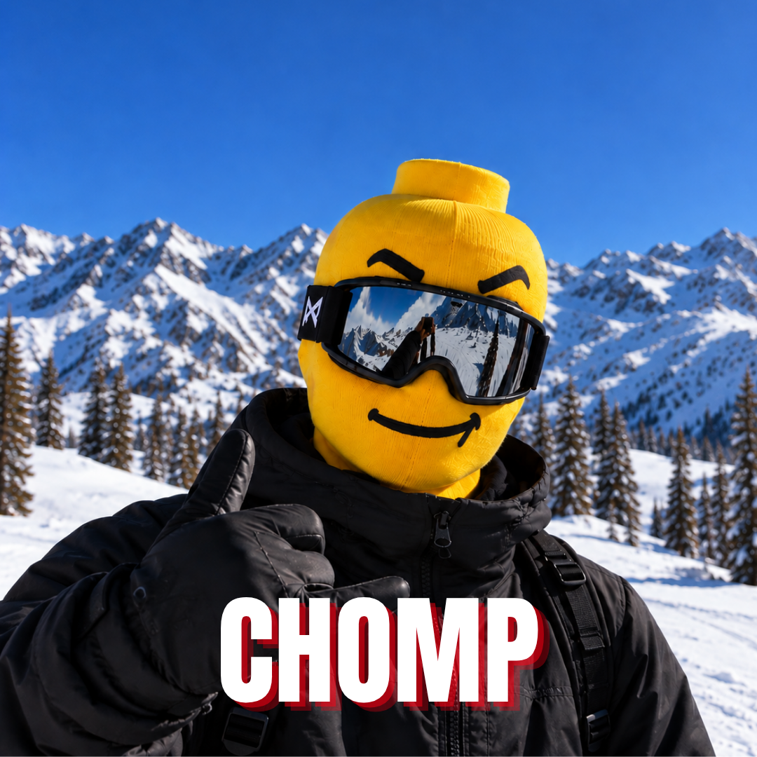Lego Ski Mask