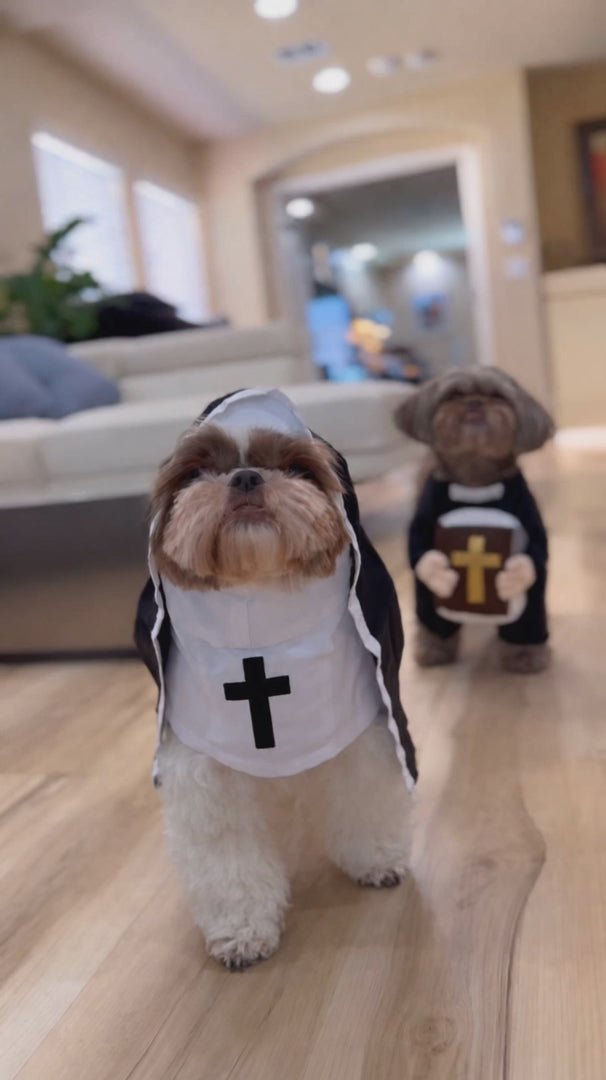 Holy Pet Costume video 2