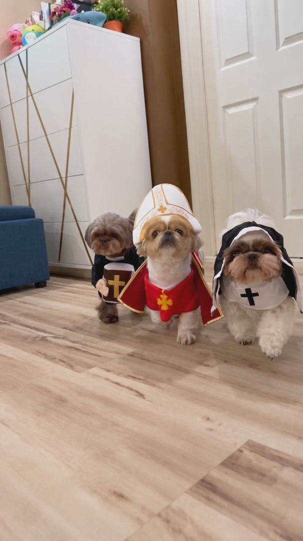 Holy Pet Costume video 1