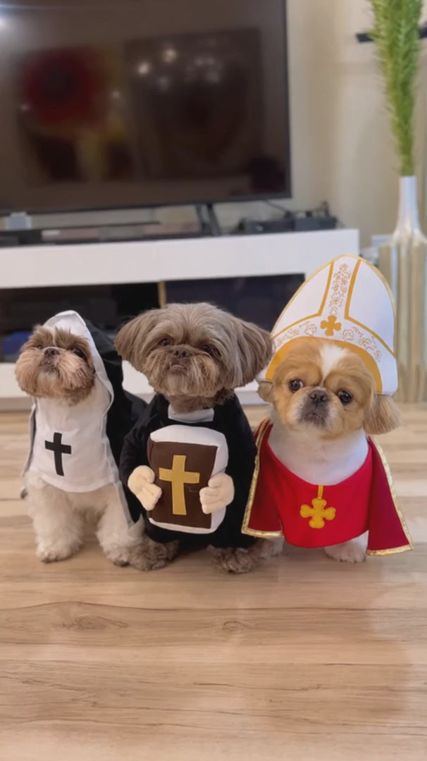 Holy Pet Costume video 3