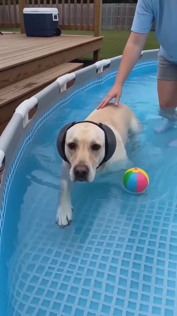 Calming Dog Ear Muffs video 3