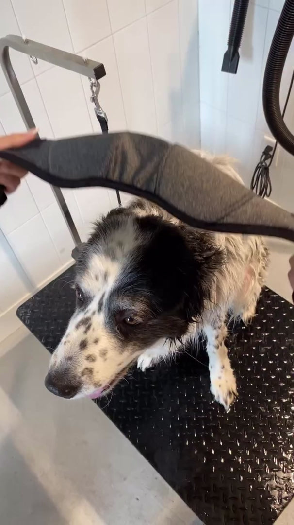 Calming Dog Ear Muffs video 2